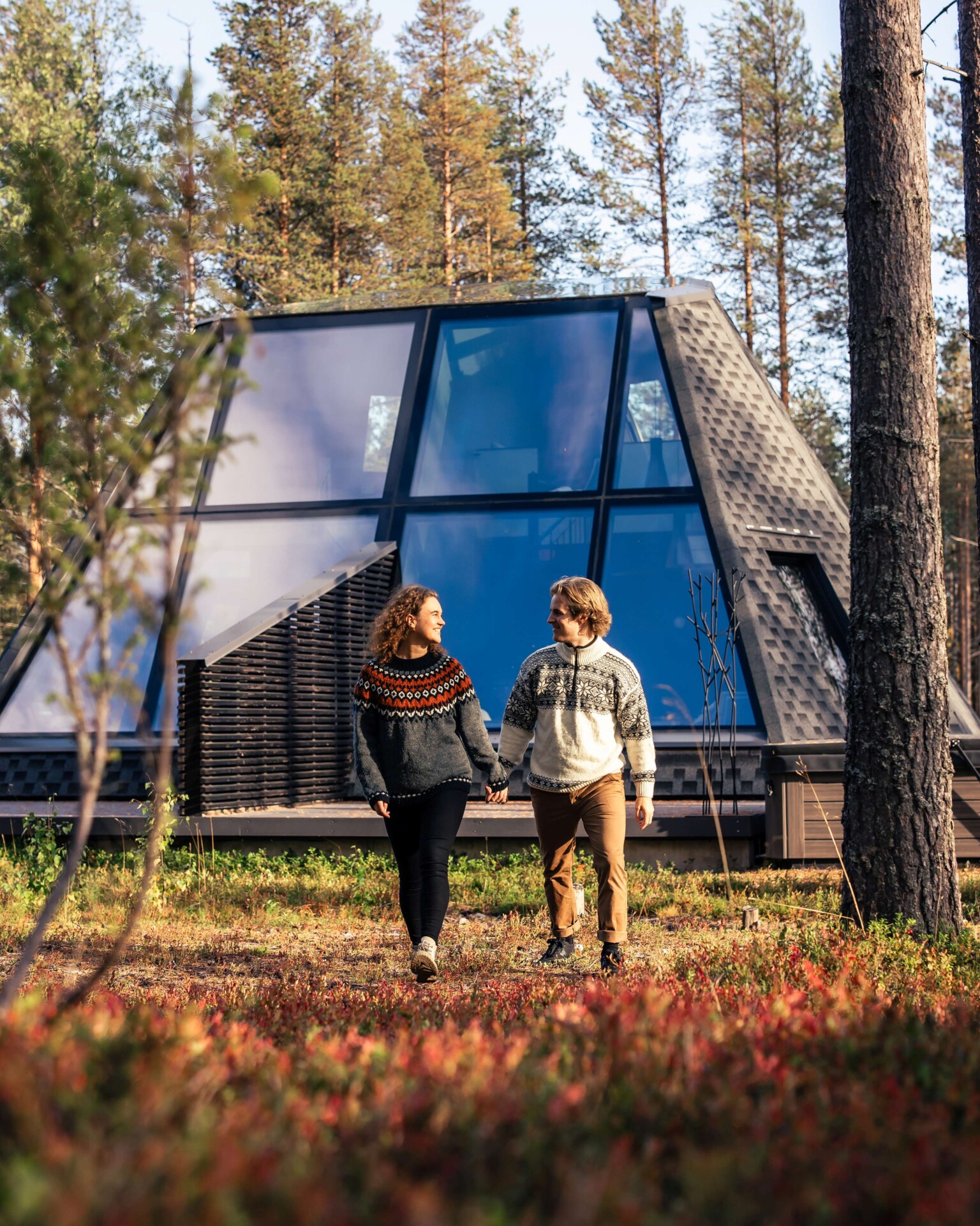 A quiet autumn moment surrounded by Lapland’s golden forest