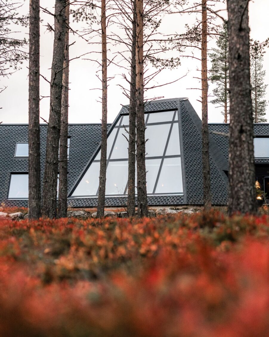 A quiet autumn moment surrounded by Lapland’s golden forest